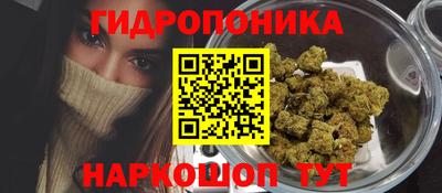 PSILOCYBIN Донской