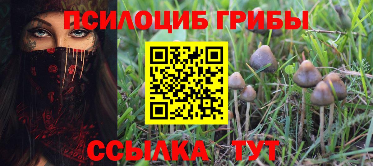 Галлюциногенные грибы ЛСД  Вход с VPN  Медногорск  Псилоцибиновые грибы Psilocybe 